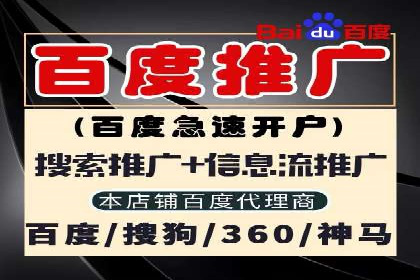 SEM竞价技巧：成功案例揭秘